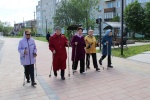 Один из лучших видов физической активности для пенсионеров — скандинавская ходьба. Это посильный каждому человеку вид спорта, которым можно заниматься в любом месте.